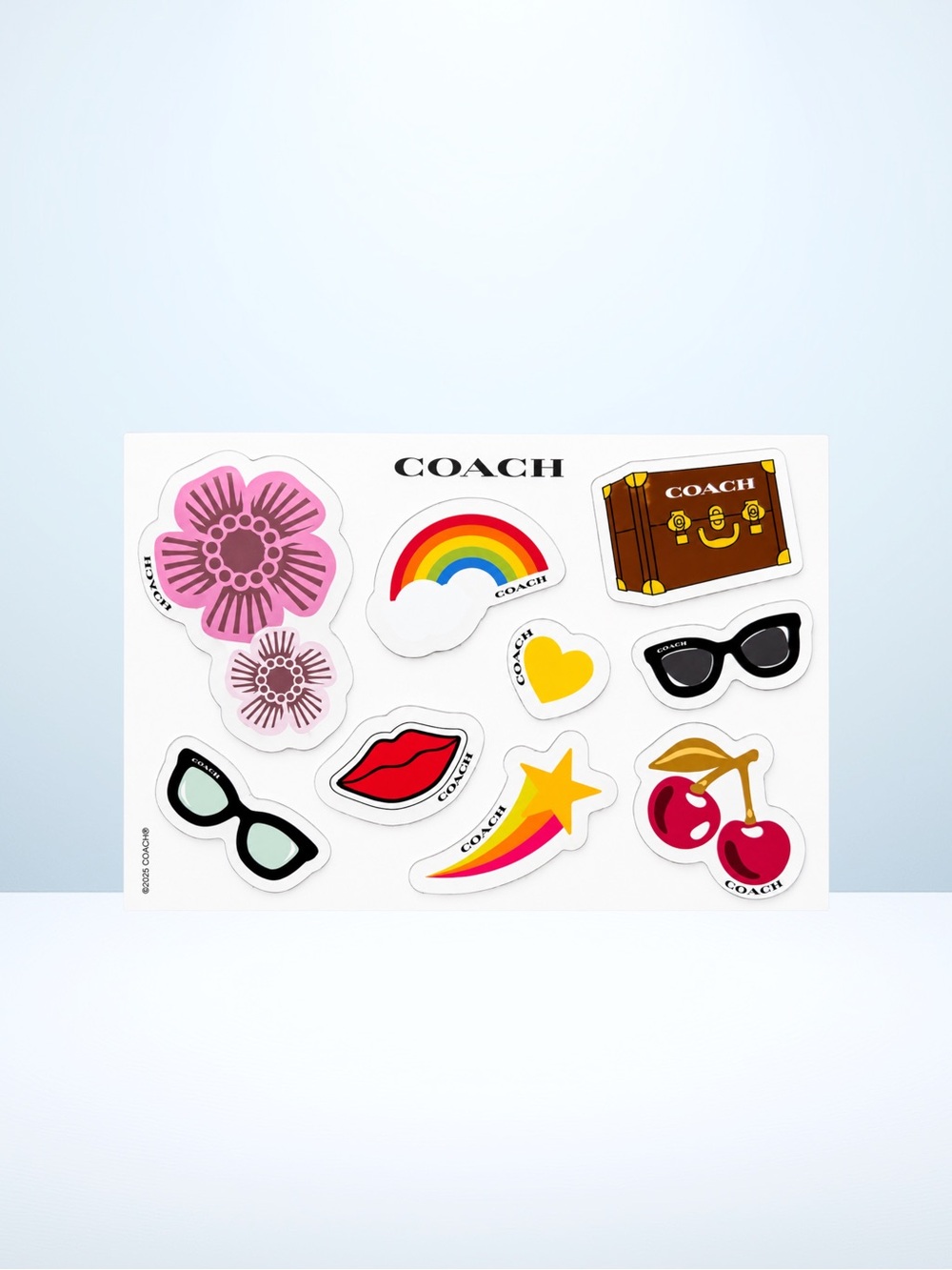 Coach 2025 Magnet Set - Tea Rose/Cherry/Lips/Rainbow